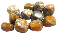 Tumbled LION Jasper Stones - 1 Pound